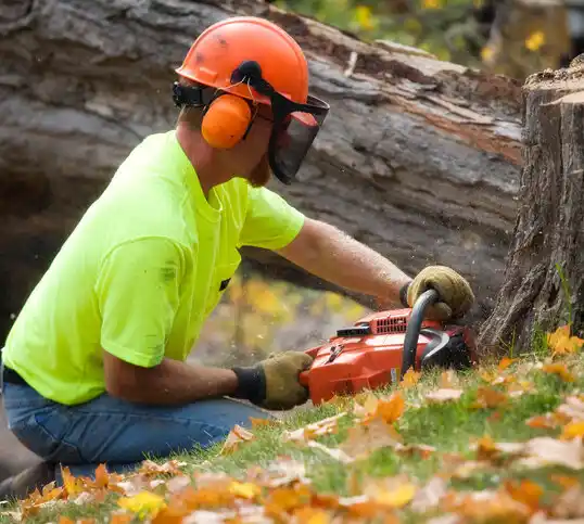 tree services Jamesport